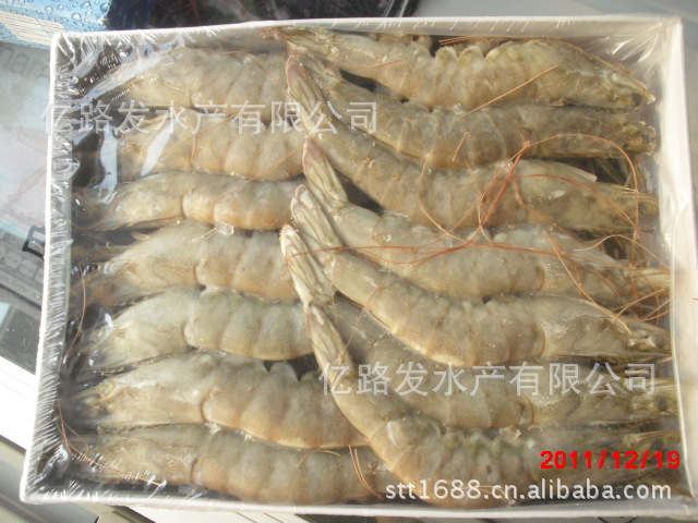 供应各种规格海捕虾、大虾、远洋船冻虾、各国的草虾、进口虾