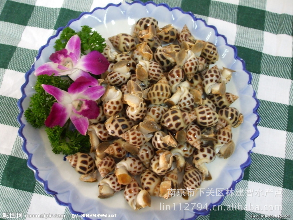 花螺，东风螺，海猪螺”和“南风螺