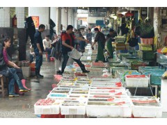 广州黄沙水产市场