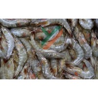 【冰洋冷藏厂】养马岛野生特产纯天然无污染正宗深海对虾