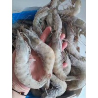 厄瓜多尔盐冻虾皇白虾30-40 40-50 正关货保证品证